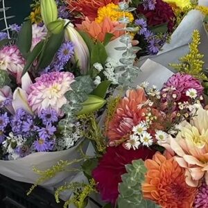 Meet your Posher, Kami